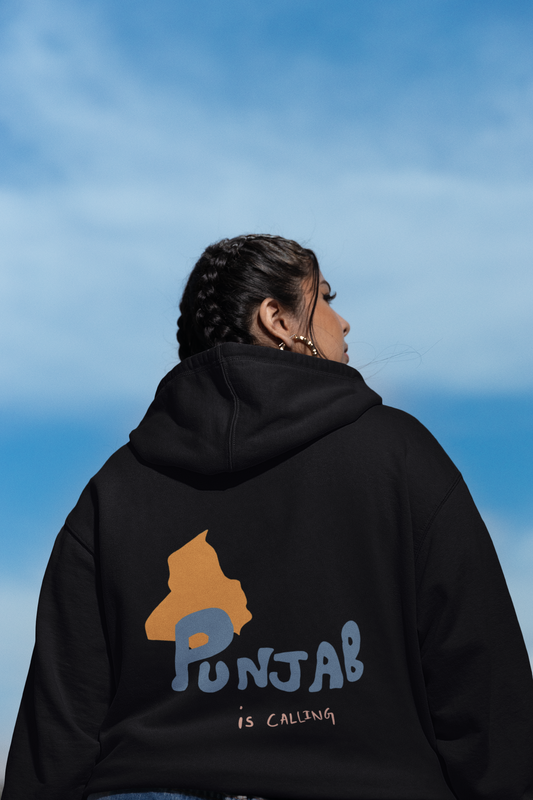 PUNJAB IS CALLING hoodie