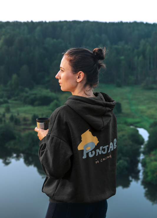 PUNJAB IS CALLING hoodie