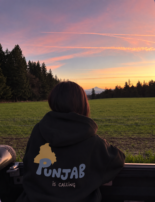 PUNJAB IS CALLING hoodie