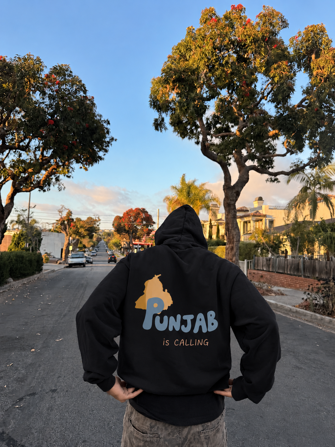 PUNJAB IS CALLING hoodie